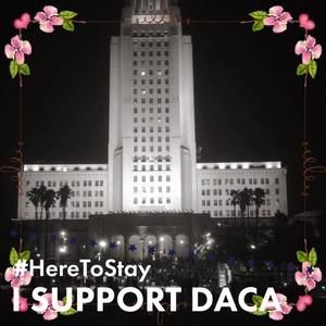 Meet your Posher, Gaby